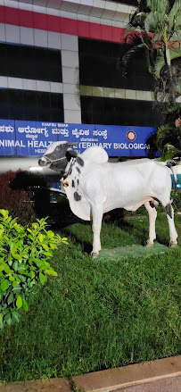 Institute of Animal Health Medical Services | Veterinary
