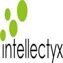 Intellectyx Inc|IT Services|Professional Services