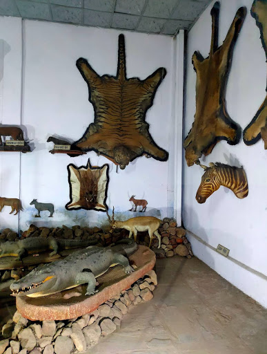 Jaipur Zoo Travel | Zoo and Wildlife Sanctuary 
