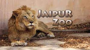 Jaipur Zoo - Logo