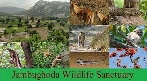 Jambughoda Wildlife Sanctuary - Logo