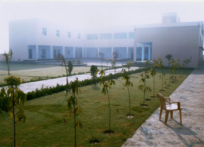 Janta College|Schools|Education