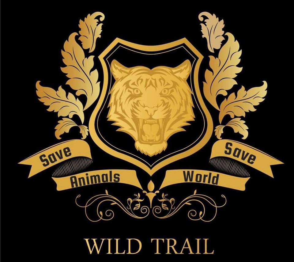 Jeep Safari & Wildlife Adventures - Logo