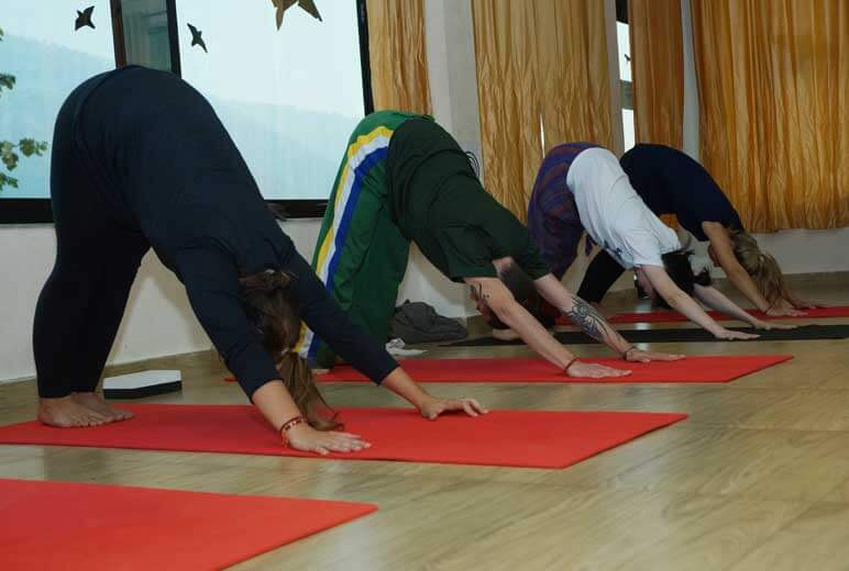 Jeevmoksha Yoga Gurukul Active Life | Yoga and Meditation Centre