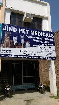 Jind Pet Medicals Medical Services | Clinics
