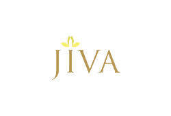 Jiva Spa at Taj Palace|Yoga and Meditation Centre|Active Life