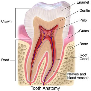 Jn dental Clinic Medical Services | Dentists