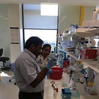 JSS Medical College Education | Colleges
