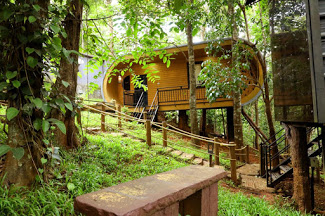 Jungle Beats Resorts Accomodation | Resort