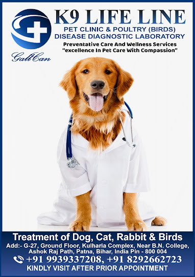 K9 LIFE LINE - PET CLINIC & POULTRY (BIRDS) DISEASE DIAGNOSTIC LABORATORY Medical Services | Veterinary