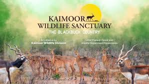 Kaimoor Wildlife Sanctuary - Logo