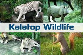kalatop khajjiar wildlife sanctuary - Logo