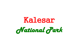 Kalesar National Park Logo
