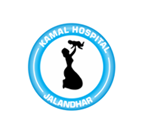 Kamal Hospital|Hospitals|Medical Services