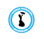 Kamal Hospital|Clinics|Medical Services