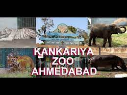 Kamla Nehru Zoological Park, Kankaria Logo