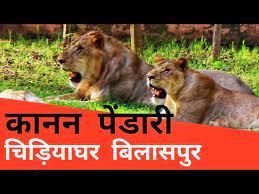 Kanan Pendari Zoological Garden|Airport|Travel