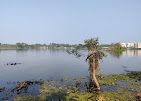 Kanjia Lake Travel | Lake