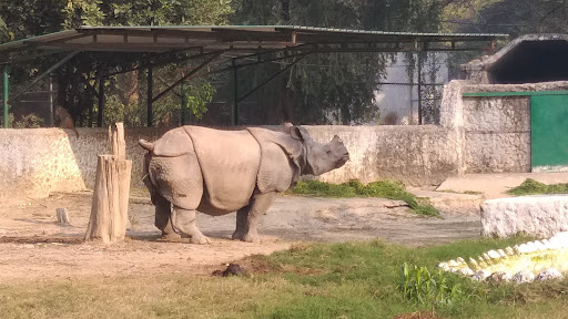 Kanpur Zoological Park Travel | Zoo and Wildlife Sanctuary 