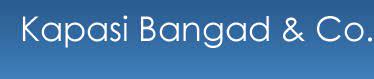 Kapasi Bangad & Co.|IT Services|Professional Services
