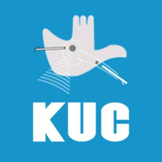 Kapoor’s Kidney & Urostone Centre Logo