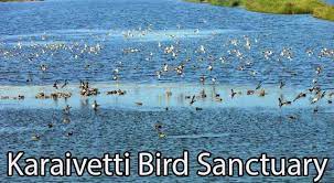 Karaivetti Bird Sanctuary - Logo