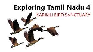 Karikili Bird Sanctuary Logo