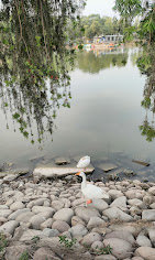 Karna Lake Karnal Travel | Lake