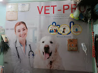 Kashi Pet Clinic Medical Services | Veterinary