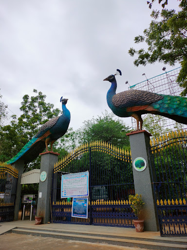 Kasu Brahmananda Reddy National Park Travel | Zoo and Wildlife Sanctuary 