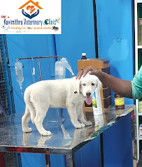 Kavimithra Veterinary Clinic Medical Services | Veterinary