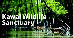 Kawal Wildlife Sanctuary Logo
