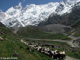 Kedarnath Wildlife Sanctuary Travel | Zoo and Wildlife Sanctuary 