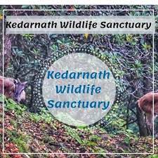 Kedarnath Wildlife Sanctuary - Logo
