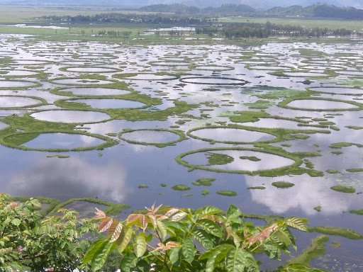 Keibul Lamjao National Park Travel | Zoo and Wildlife Sanctuary 