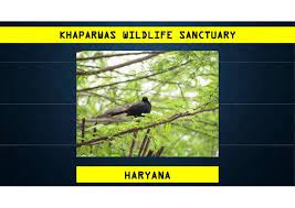 Khaparwas Wildlife Sanctuary Logo