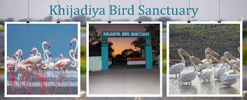 Khijadiya Bird Sanctuary - Logo