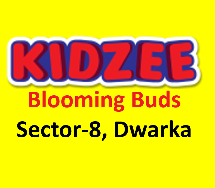 KIDZEE Blooming Buds|Schools|Education