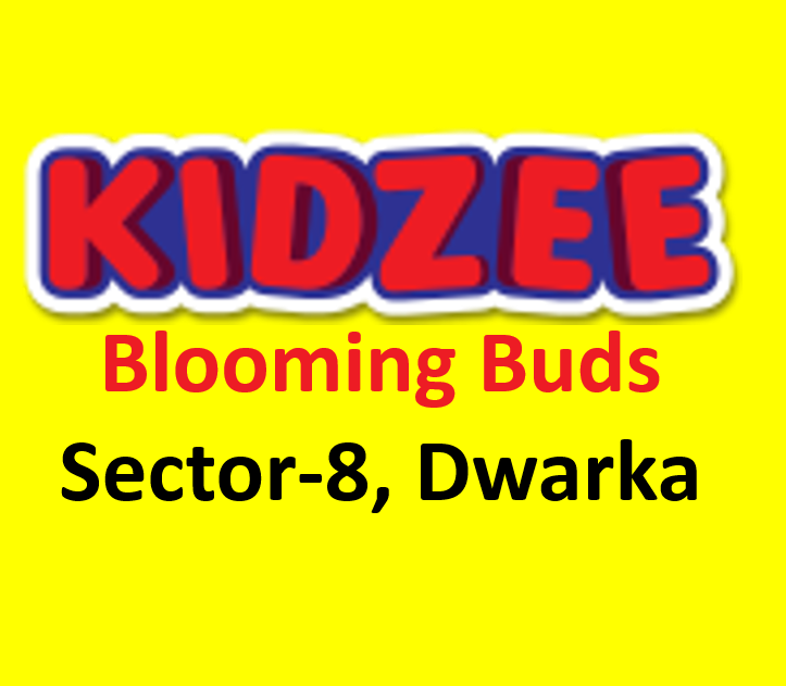 KIDZEE Blooming Buds|Universities|Education