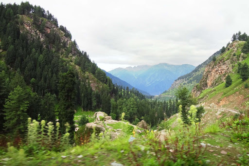 Kishtwar National Park Travel | Zoo and Wildlife Sanctuary 