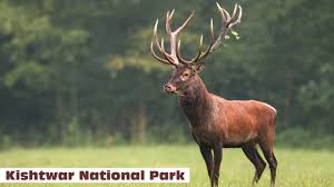 Kishtwar National Park Logo