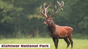 Kishtwar National Park|Airport|Travel