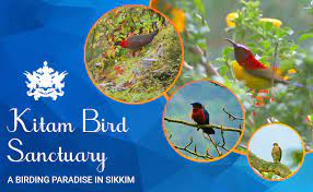 Kitam Bird Sanctuary - Logo