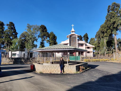 Kohima Science College Education | Colleges