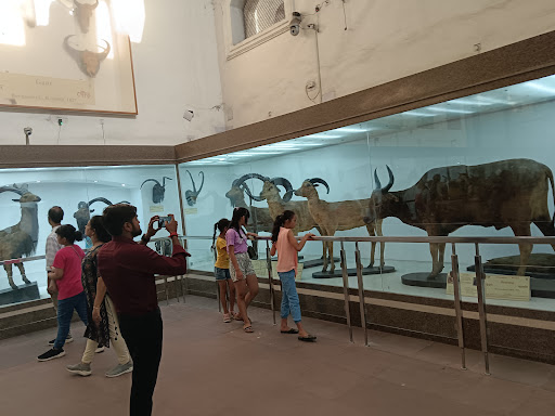 Kolkata Museum of Modern Art Travel | Museums