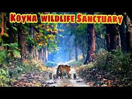 Koyna Wildlife Sanctuary - Logo