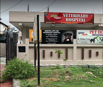 Krishna Lifeline Veterinary Hospital Medical Services | Veterinary