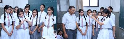 Krishna model school Najafgarh Schools 004
