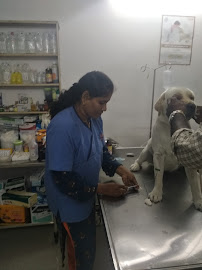 Kriya Petcare Clinic Medical Services | Veterinary