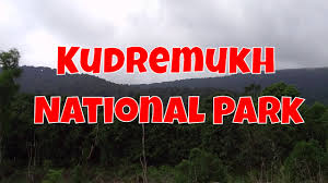 Kudremukh National Park - Logo